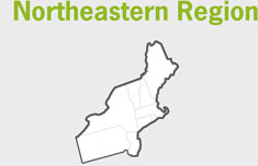 Northeastern Region