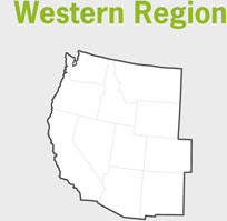 Northeastern Region