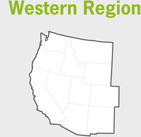 Western Region